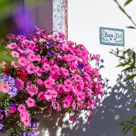 Bed and Breakfast Garni Bondi Сельва-ді-Валь-Гардена Екстер'єр фото